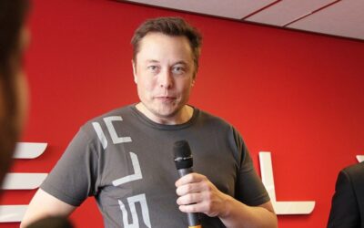 Elon Musk made one promise that was bad news for Democrats and the establishment