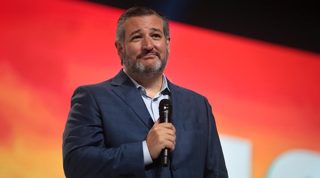 Ted Cruz made this scary prediction about a scheme to replace Joe Biden