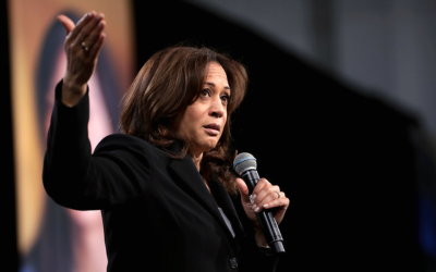 One bad problem has the warning signs flashing red for Kamala Harris