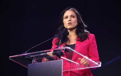 Tulsi Gabbard gave Democrats a crushing reality check about Donald Trump