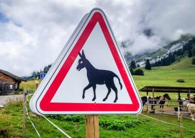 Donkey,Warning,Sign,On,A,Mountain,Road