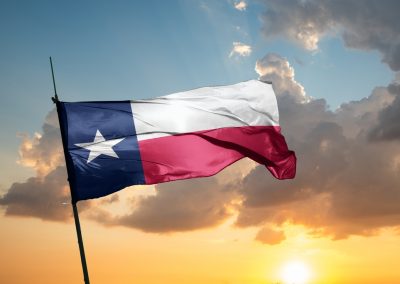 A Top Texas Democrat Official Was Caught on Tape Asking One Question About Black People That May Cost James Texas Talarico the Election Texas,Flag,U.s.,State,Flag,Consisting,Of,A,Vertical,Blue